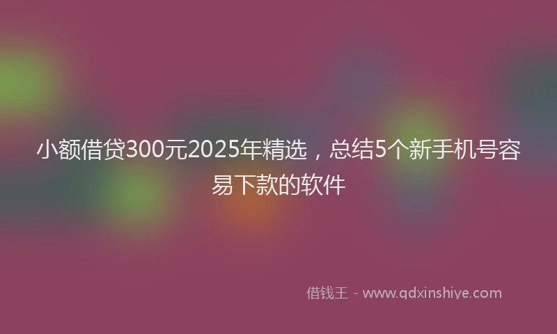 小额借贷300元2025年精选,总结5个新手机号容易下款的软件