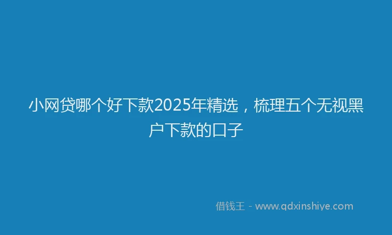 小网贷哪个好下款2025年精选，梳理五个无视黑户下款的口子
