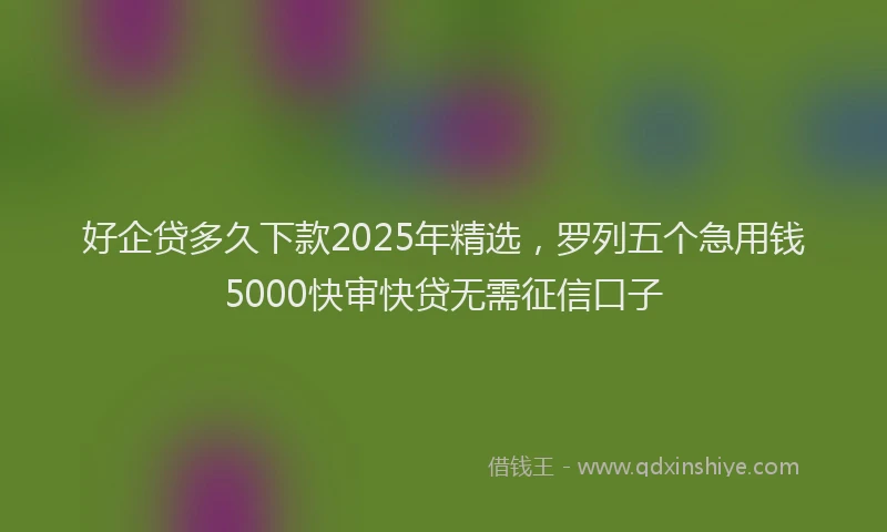 好企贷多久下款2025年精选，罗列五个急用钱5000快审快贷无需征信口子