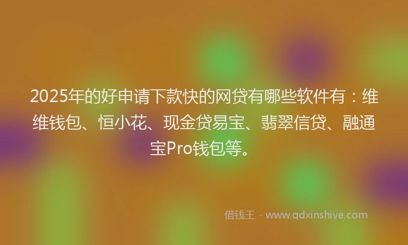 2025年的好申请下款快的网贷有哪些软件有：维维钱包、恒小花、现金贷易宝、翡翠信贷、融通宝Pro钱包等。