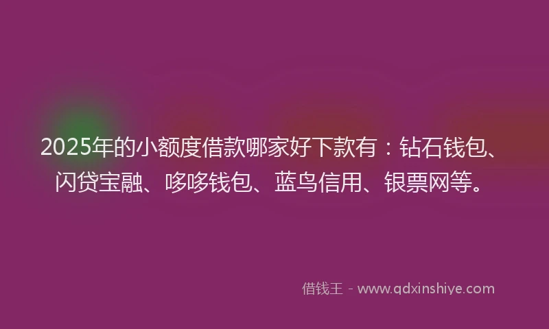 2025年的小额度借款哪家好下款有：钻石钱包、闪贷宝融、哆哆钱包、蓝鸟信用、银票网等。