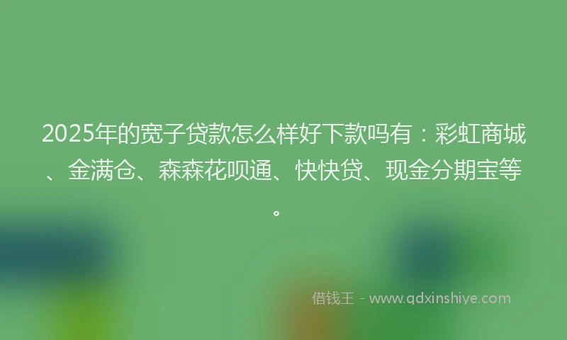 2025年的宽子贷款怎么样好下款吗有：彩虹商城、金满仓、森森花呗通、快快贷、现金分期宝等。