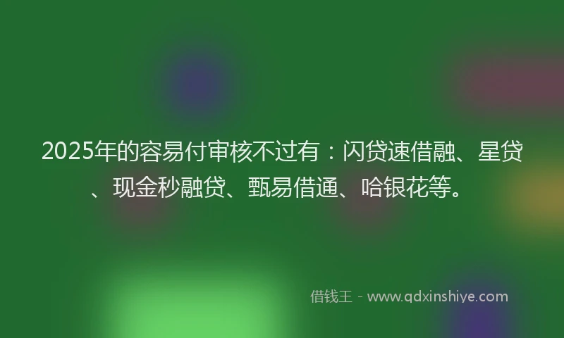 2025年的容易付审核不过有：闪贷速借融、星贷、现金秒融贷、甄易借通、哈银花等。