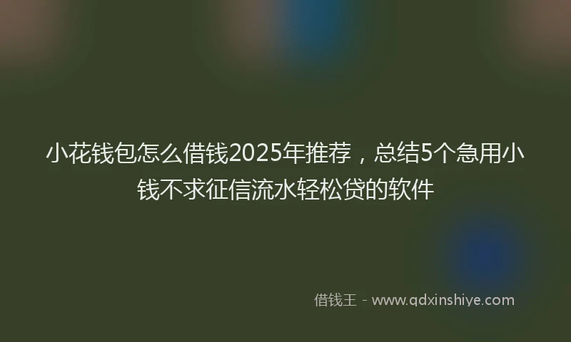 小花钱包怎么借钱2025年推荐，总结5个急用小钱不求征信流水轻松贷的软件