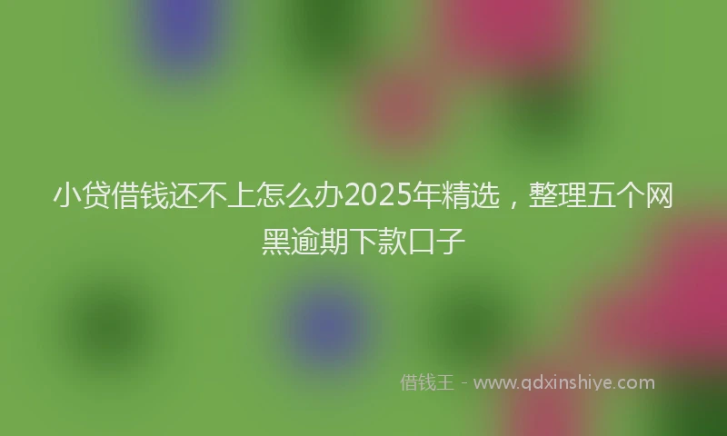 小贷借钱还不上怎么办2025年精选，整理五个网黑逾期下款口子