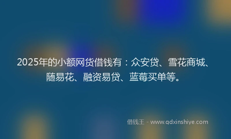 2025年的小额网货借钱有：众安贷、雪花商城、随易花、融资易贷、蓝莓买单等。