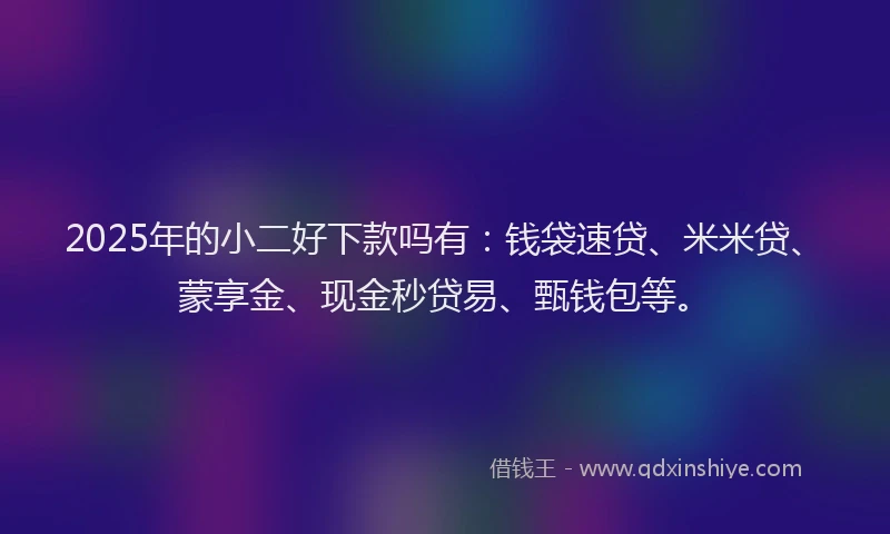 2025年的小二好下款吗有：钱袋速贷、米米贷、蒙享金、现金秒贷易、甄钱包等。