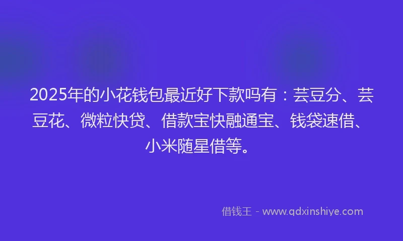 2025年的小花钱包最近好下款吗有：芸豆分、芸豆花、微粒快贷、借款宝快融通宝、钱袋速借、小米随星借等。