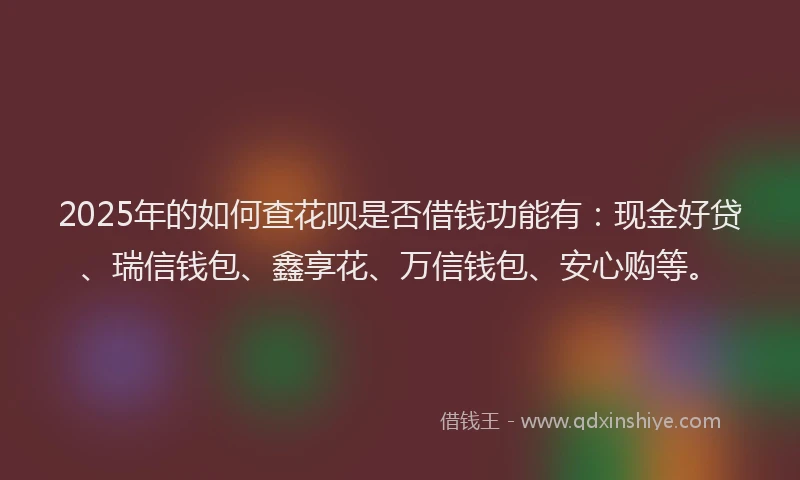 2025年的如何查花呗是否借钱功能有：现金好贷、瑞信钱包、鑫享花、万信钱包、安心购等。