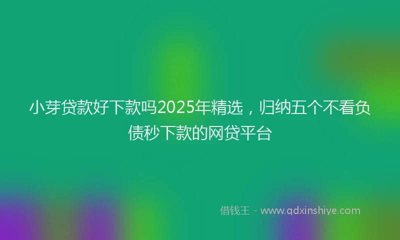 小芽贷款好下款吗2025年精选，归纳五个不看负债秒下款的网贷平台