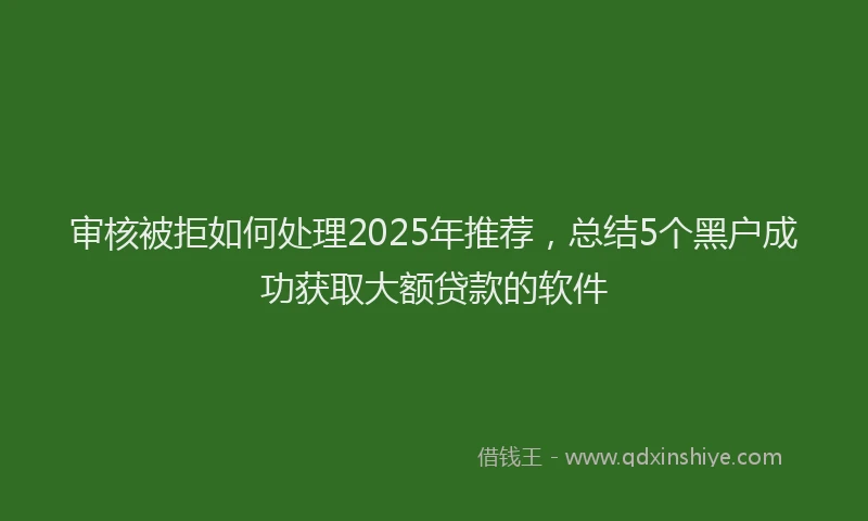 审核被拒如何处理2025年推荐，总结5个黑户成功获取大额贷款的软件