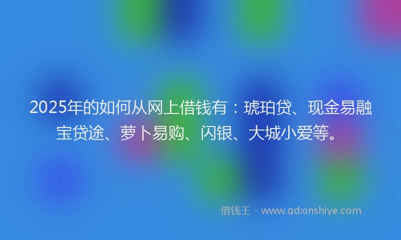 2025年的如何从网上借钱有：琥珀贷、现金易融宝贷途、萝卜易购、闪银、大城小爱等。