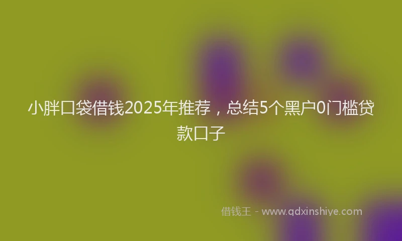 小胖口袋借钱2025年推荐，总结5个黑户0门槛贷款口子