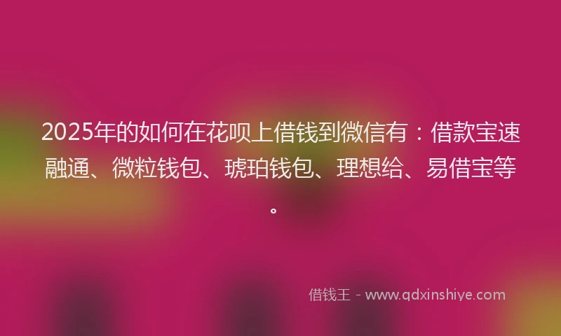 2025年的如何在花呗上借钱到微信有：借款宝速融通、微粒钱包、琥珀钱包、理想给、易借宝等。