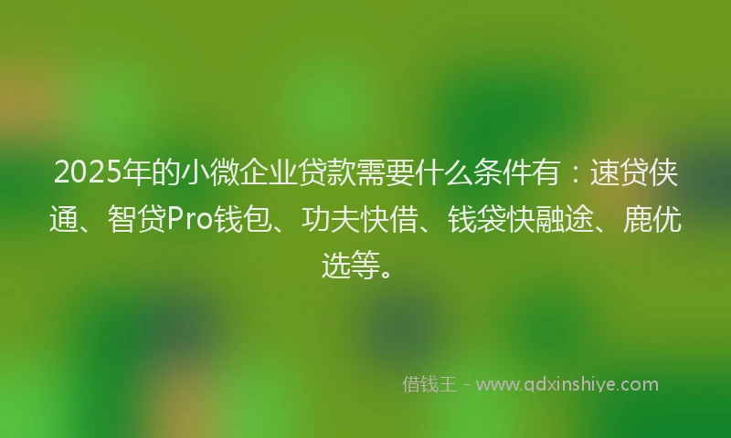 2025年的小微企业贷款需要什么条件有：速贷侠通、智贷Pro钱包、功夫快借、钱袋快融途、鹿优选等。