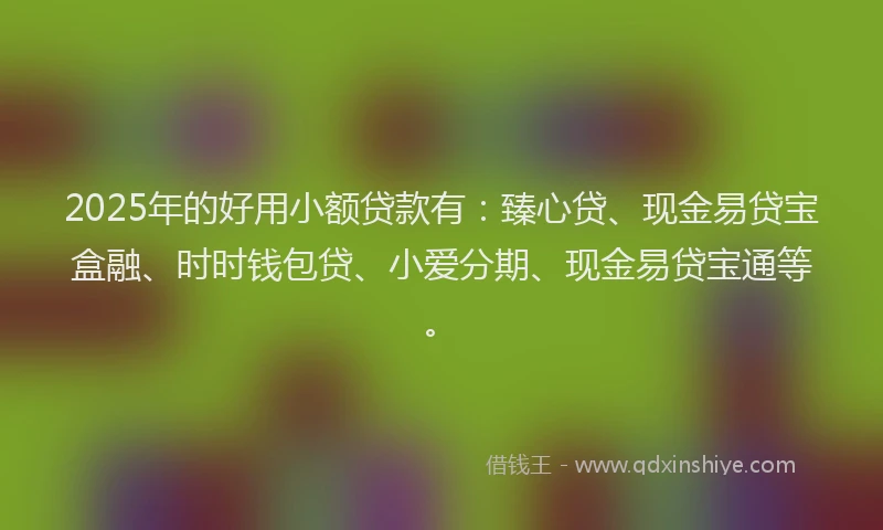 2025年的好用小额贷款有：臻心贷、现金易贷宝盒融、时时钱包贷、小爱分期、现金易贷宝通等。
