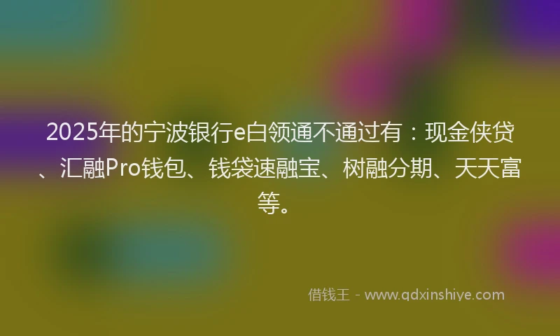 2025年的宁波银行e白领通不通过有：现金侠贷、汇融Pro钱包、钱袋速融宝、树融分期、天天富等。