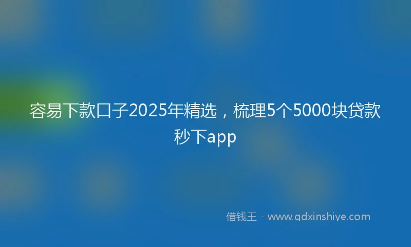 容易下款口子2025年精选，梳理5个5000块贷款秒下app
