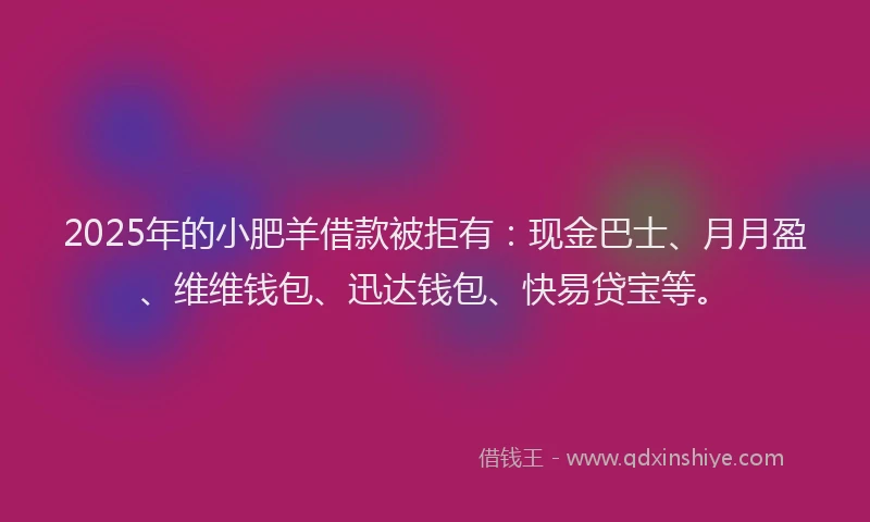 2025年的小肥羊借款被拒有：现金巴士、月月盈、维维钱包、迅达钱包、快易贷宝等。