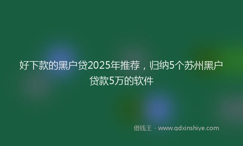好下款的黑户贷2025年推荐，归纳5个苏州黑户贷款5万的软件
