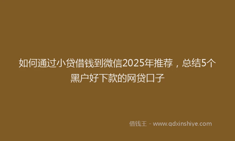 如何通过小贷借钱到微信2025年推荐，总结5个黑户好下款的网贷口子