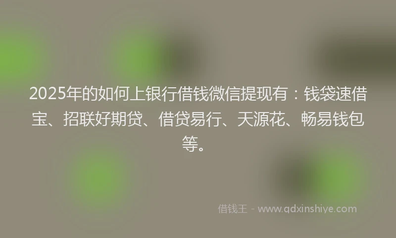 2025年的如何上银行借钱微信提现有：钱袋速借宝、招联好期贷、借贷易行、天源花、畅易钱包等。