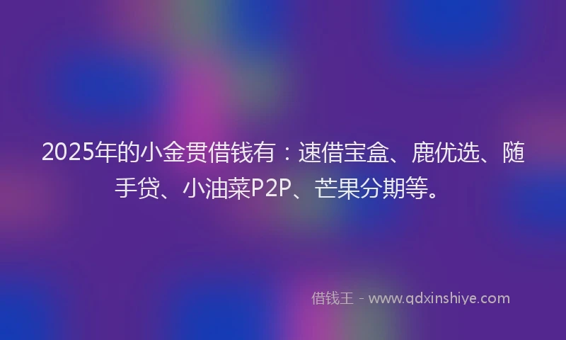 2025年的小金贯借钱有：速借宝盒、鹿优选、随手贷、小油菜P2P、芒果分期等。