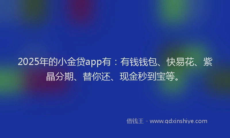 2025年的小金贷app有：有钱钱包、快易花、紫晶分期、替你还、现金秒到宝等。