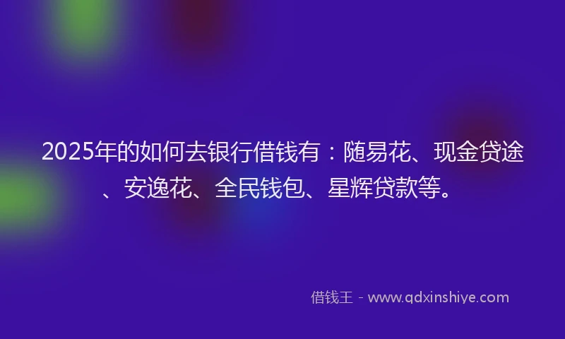 2025年的如何去银行借钱有：随易花、现金贷途、安逸花、全民钱包、星辉贷款等。