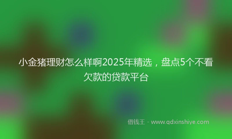小金猪理财怎么样啊2025年精选，盘点5个不看欠款的贷款平台