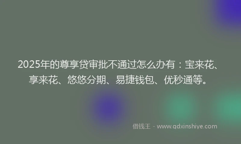 2025年的尊享贷审批不通过怎么办有：宝来花、享来花、悠悠分期、易捷钱包、优秒通等。