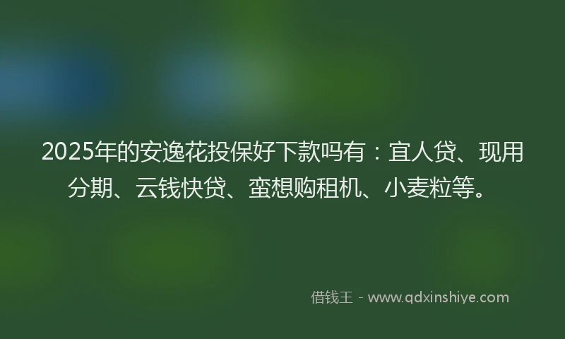 2025年的安逸花投保好下款吗有：宜人贷、现用分期、云钱快贷、蛮想购租机、小麦粒等。