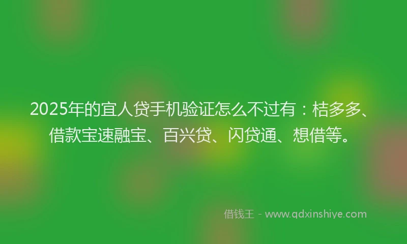 2025年的宜人贷手机验证怎么不过有：桔多多、借款宝速融宝、百兴贷、闪贷通、想借等。