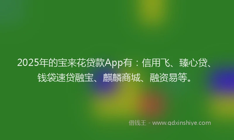 2025年的宝来花贷款App有：信用飞、臻心贷、钱袋速贷融宝、麒麟商城、融资易等。