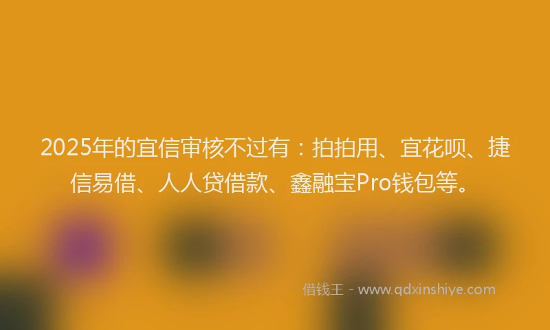 2025年的宜信审核不过有：拍拍用、宜花呗、捷信易借、人人贷借款、鑫融宝Pro钱包等。