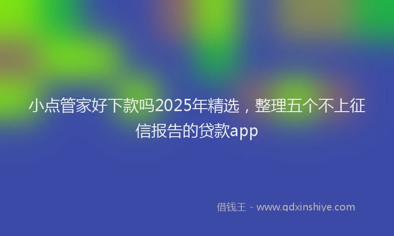 小点管家好下款吗2025年精选，整理五个不上征信报告的贷款app