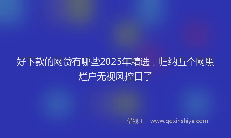 好下款的网贷有哪些2025年精选，归纳五个网黑烂户无视风控口子