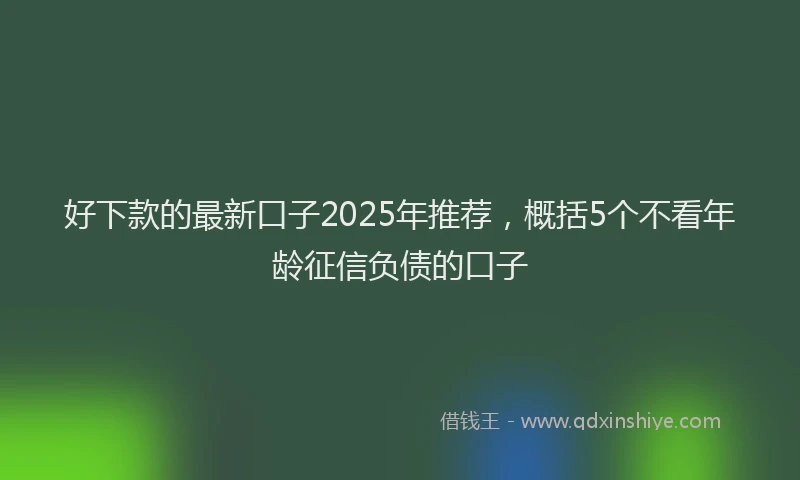 好下款的最新口子2025年推荐，概括5个不看年龄征信负债的口子