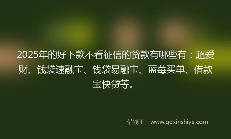 2025年的好下款不看征信的贷款有哪些有：超爱财、钱袋速融宝、钱袋易融宝、蓝莓买单、借款宝快贷等。