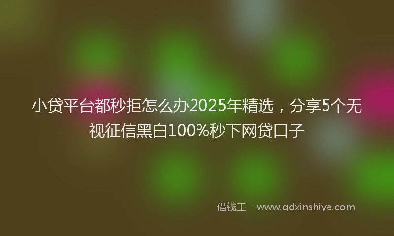 小贷平台都秒拒怎么办2025年精选，分享5个无视征信黑白100%秒下网贷口子