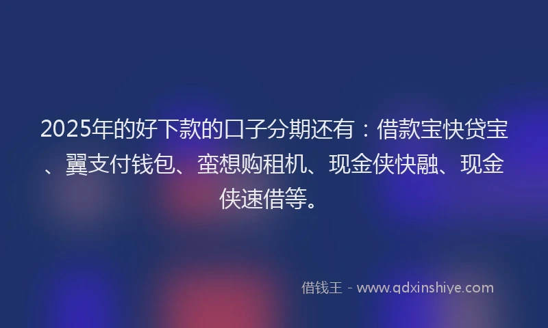 2025年的好下款的口子分期还有：借款宝快贷宝、翼支付钱包、蛮想购租机、现金侠快融、现金侠速借等。