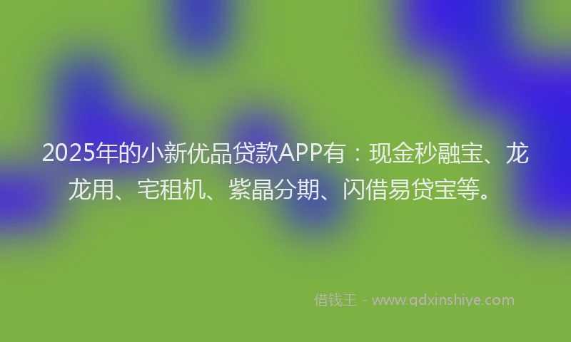 2025年的小新优品贷款APP有：现金秒融宝、龙龙用、宅租机、紫晶分期、闪借易贷宝等。