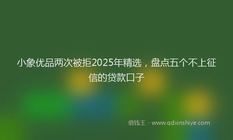 小象优品两次被拒2025年精选，盘点五个不上征信的贷款口子