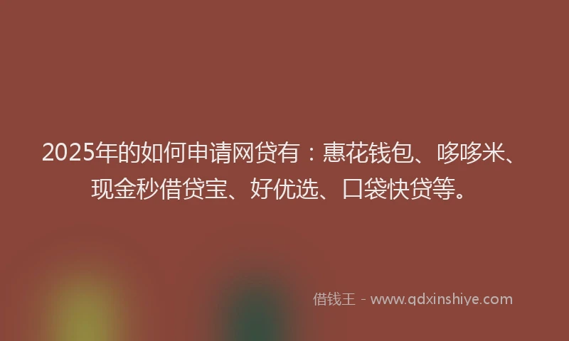 2025年的如何申请网贷有：惠花钱包、哆哆米、现金秒借贷宝、好优选、口袋快贷等。