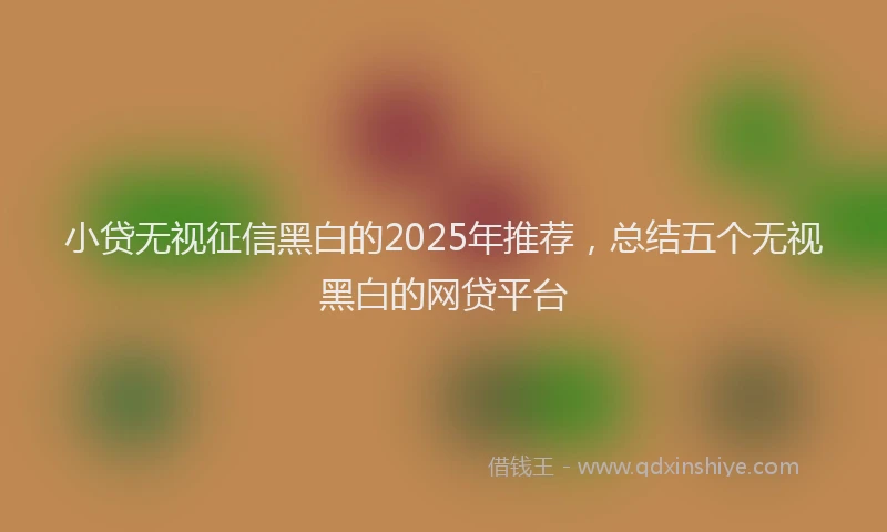 小贷无视征信黑白的2025年推荐，总结五个无视黑白的网贷平台