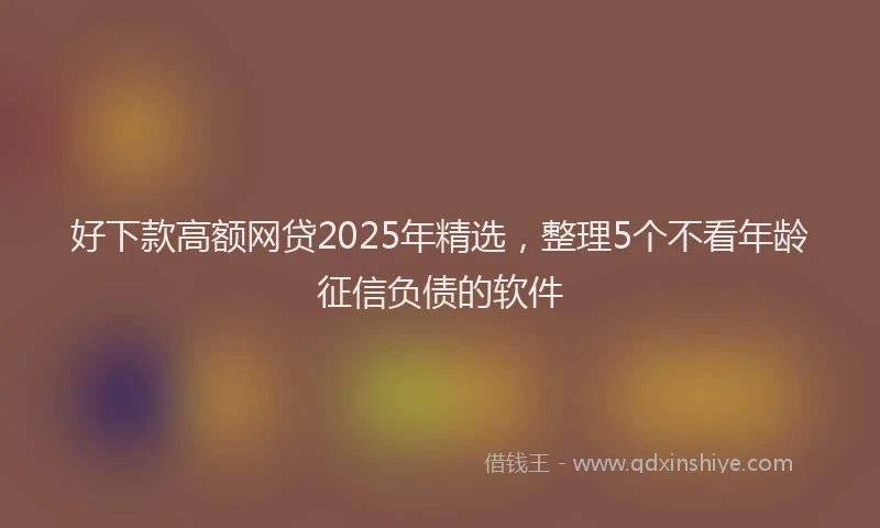 好下款高额网贷2025年精选，整理5个不看年龄征信负债的软件