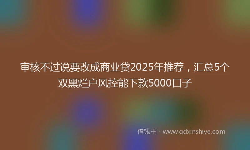 审核不过说要改成商业贷2025年推荐，汇总5个双黑烂户风控能下款5000口子