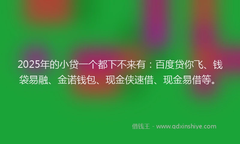 2025年的小贷一个都下不来有：百度贷你飞、钱袋易融、金诺钱包、现金侠速借、现金易借等。