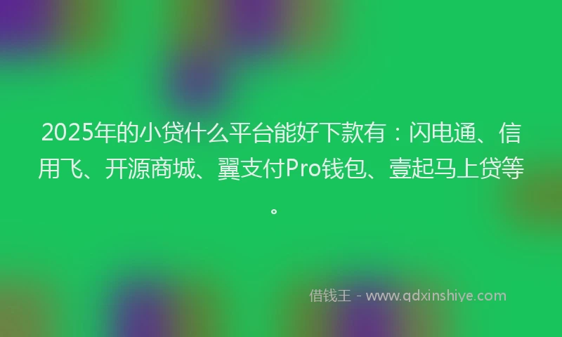 2025年的小贷什么平台能好下款有：闪电通、信用飞、开源商城、翼支付Pro钱包、壹起马上贷等。