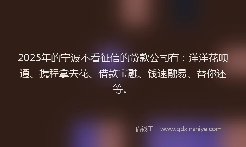 2025年的宁波不看征信的贷款公司有：洋洋花呗通、携程拿去花、借款宝融、钱速融易、替你还等。